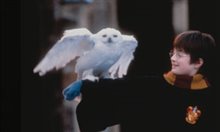 Harry Potter à l'école des sorciers Photo 4