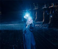 Harry Potter and the Order of the Phoenix Photo 40