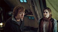 Harry Potter et les reliques de la mort : 1 ère partie Photo 20