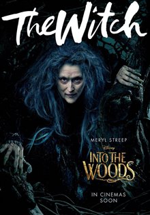 Into the Woods Photo 17
