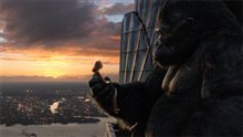 King Kong (v.f.) Photo 24 - Grande