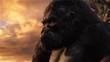 King Kong (v.f.) Photo 26 - Grande