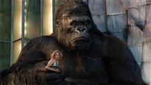 King Kong (v.f.) Photo 28