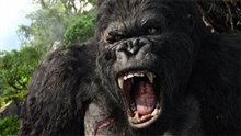 King Kong (v.f.) Photo 32 - Grande