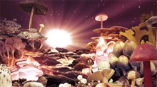 Know Your Mushrooms Photo 9