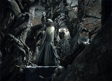 Le Hobbit : La désolation de Smaug Photo 37
