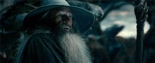 Le Hobbit : La désolation de Smaug - L'expérience IMAX 3D Photo 26