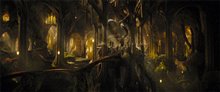 Le Hobbit : La désolation de Smaug - L'expérience IMAX 3D Photo 36