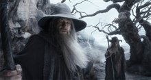 Le Hobbit : La désolation de Smaug - L'expérience IMAX 3D Photo 38