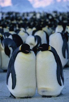 March of the Penguins Photo 17