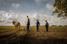 Mudbound (Netflix) Photo 5