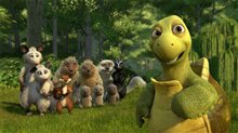 Over the Hedge Photo 18