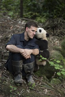 Pandas : L'expérience IMAX Photo 21