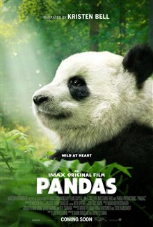 Pandas : L'expérience IMAX Photo 31
