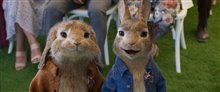 Peter Rabbit 2: The Runaway Photo 8