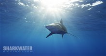 Sharkwater Extinction - Le film Photo 12