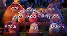 The Angry Birds Movie Photo 22