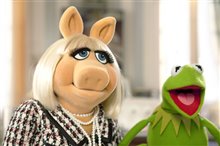 The Muppets Photo 6