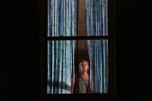 The Woman in the Window (Netflix) Photo 2