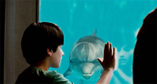 Dolphin Tale Photo 4 - Large