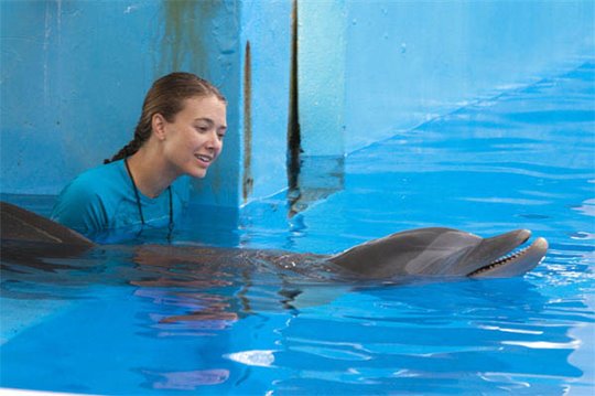 Dolphin Tale Photo 13 - Large