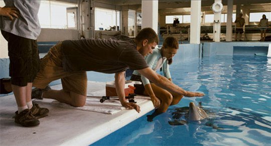 Dolphin Tale Photo 29 - Large