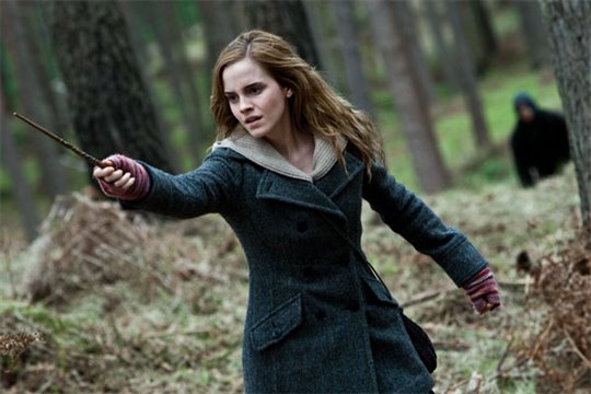Harry Potter and the Deathly Hallows: Part 1 Photo 39 - Large
