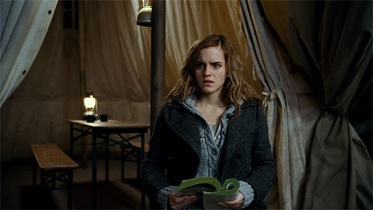 Harry Potter and the Deathly Hallows: Part 1 Photo 41 - Large