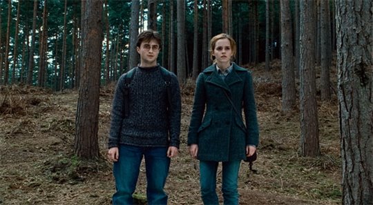 Harry Potter et les reliques de la mort : 1 ère partie Photo 16 - Grande