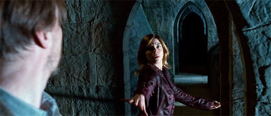 Harry Potter et les reliques de la mort : 2e partie Photo 3 - Grande