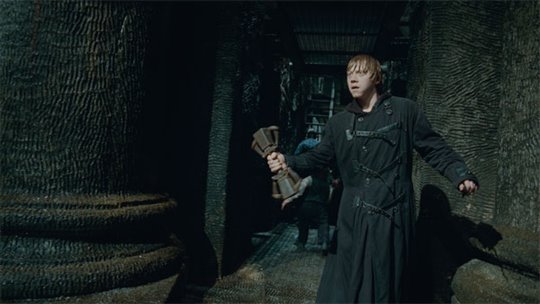 Harry Potter et les reliques de la mort : 2e partie Photo 39 - Grande