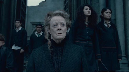 Harry Potter et les reliques de la mort : 2e partie Photo 63 - Grande