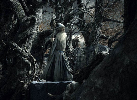 Le Hobbit : La désolation de Smaug Photo 37 - Grande