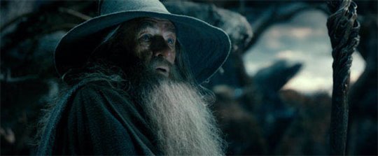 Le Hobbit : La désolation de Smaug - L'expérience IMAX 3D Photo 26 - Grande