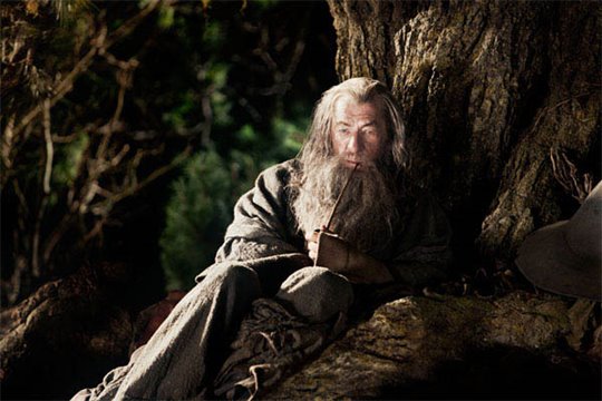 Le Hobbit : Un voyage inattendu Photo 3 - Grande