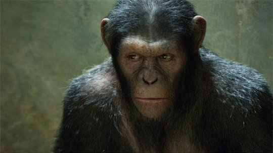 Rise of the Planet of the Apes Photo 3 - Large