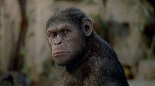 Rise of the Planet of the Apes Photo 13 - Large