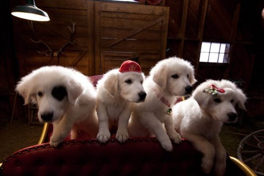 Santa Paws 2: The Santa Pups Photo 5 - Large