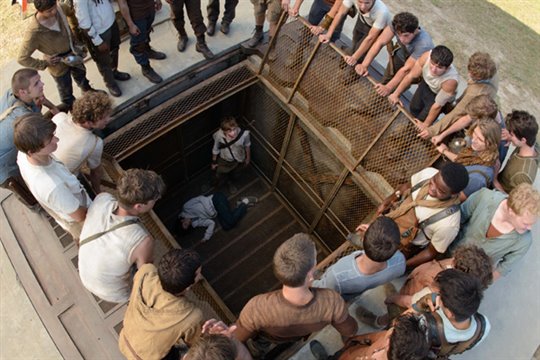 The Maze Runner Photo 5 - Large