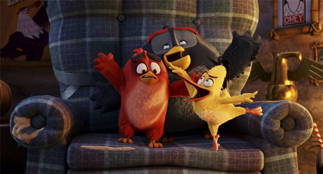 Angry Birds : Le film Photo 28 - Grande