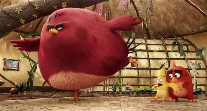 Angry Birds : Le film Photo 30 - Grande