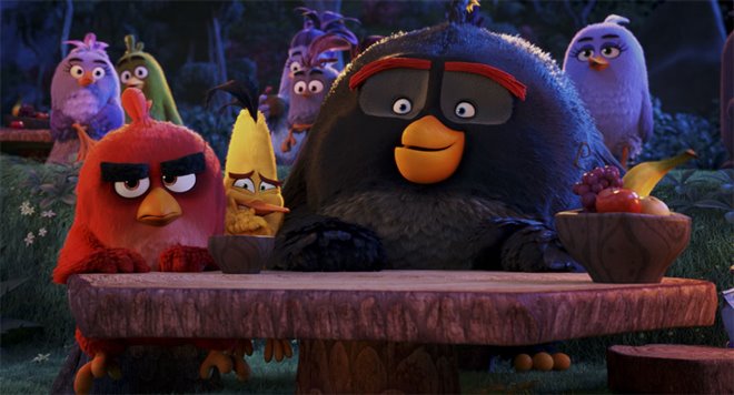 Angry Birds : Le film Photo 32 - Grande
