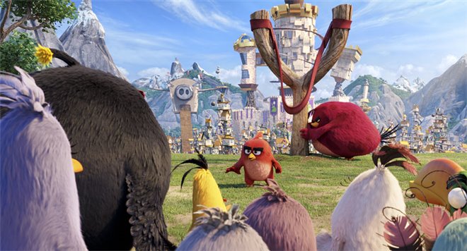 Angry Birds : Le film Photo 34 - Grande
