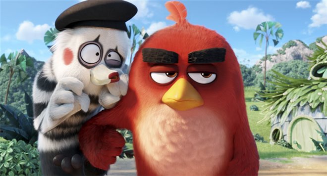 Angry Birds : Le film Photo 38 - Grande