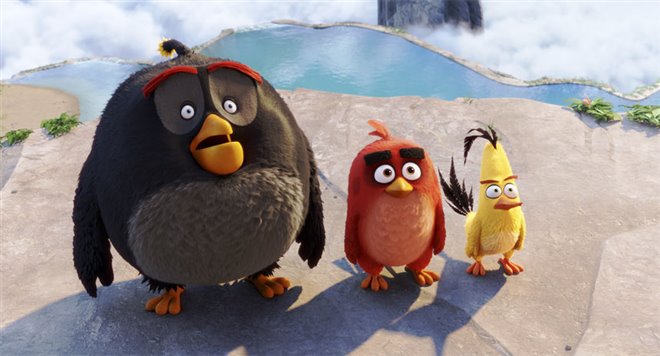 Angry Birds : Le film Photo 40 - Grande