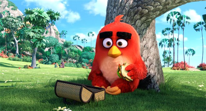 Angry Birds : Le film Photo 1 - Grande