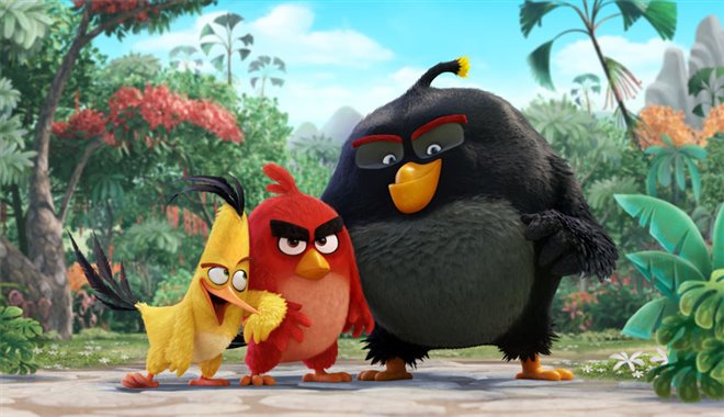 Angry Birds : Le film Photo 7 - Grande