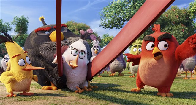 Angry Birds : Le film Photo 14 - Grande