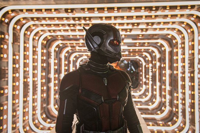 Ant-Man and The Wasp Photo 24 - Large