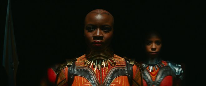 Black Panther : Longue vie au Wakanda Photo 8 - Grande